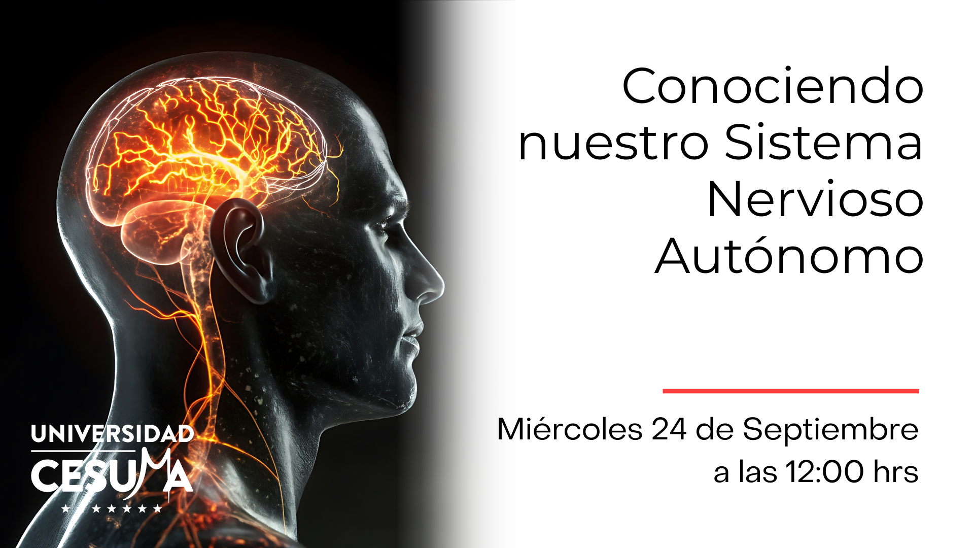 Conociendo nuestro Sistema Nervioso Autónomo