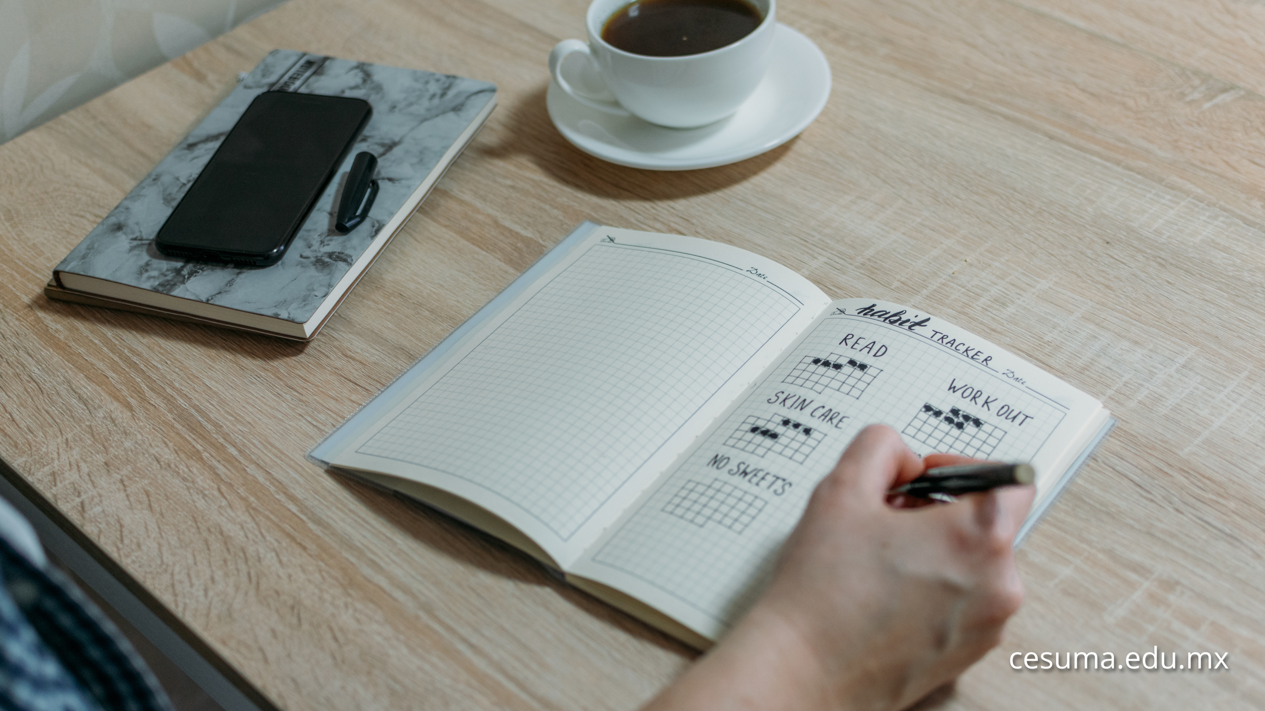 ¿Qué hábitos cerebrales necesita un adolescente?