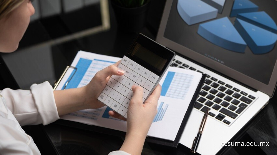 Conceptos básicos de contabilidad