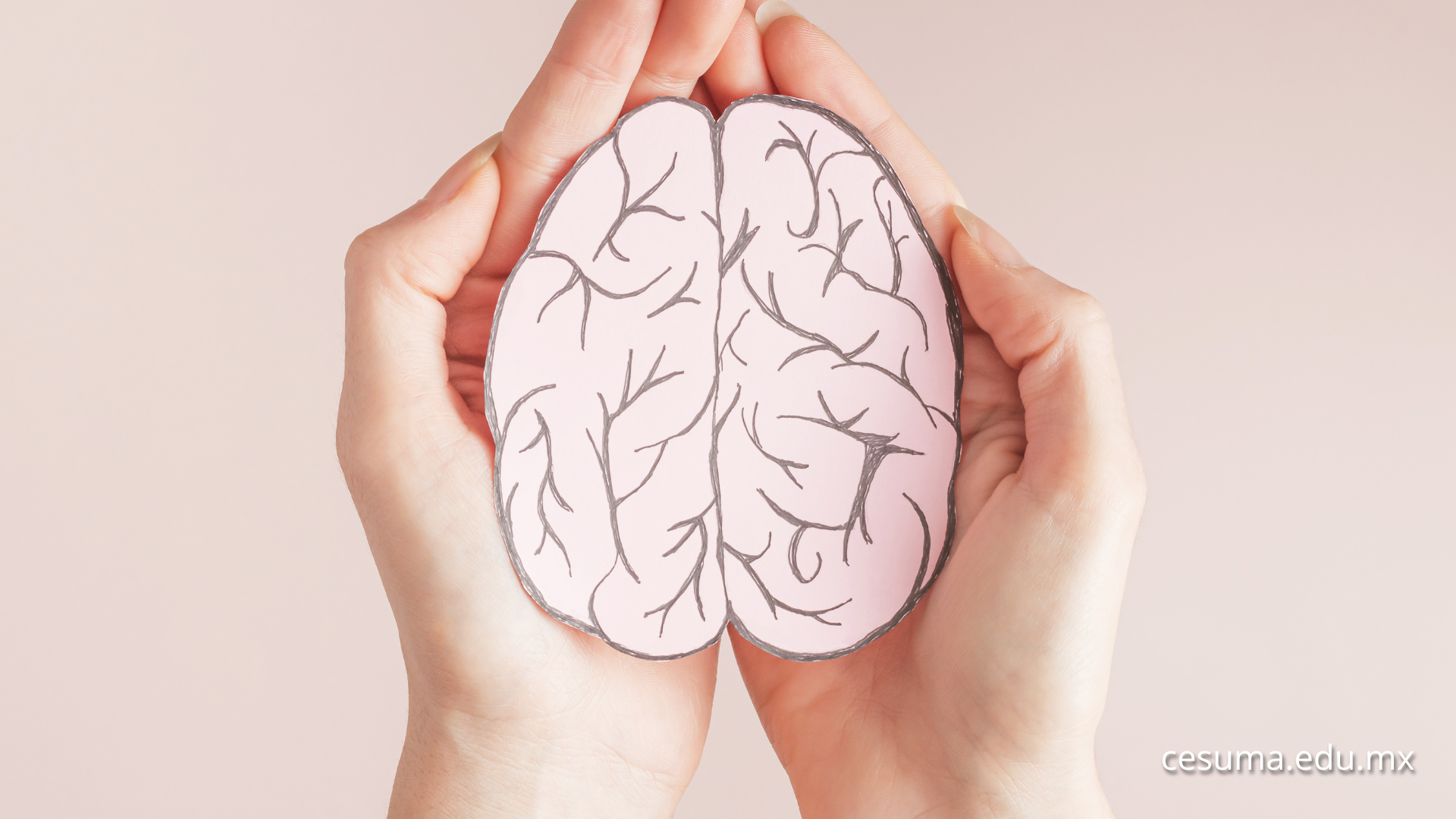 Trabajo social y salud mental: ¿Dónde buscar apoyo si estoy en crisis?