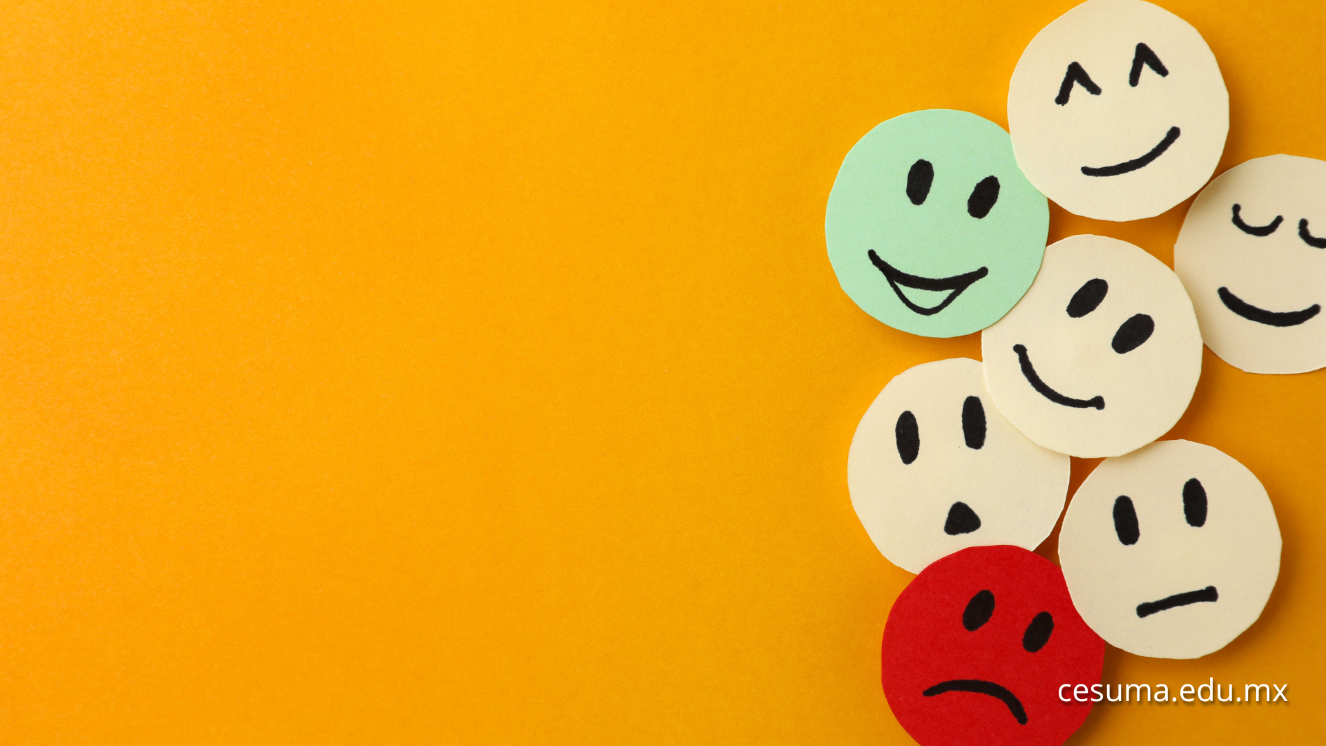 ¿Por qué las emociones son clave para aprender en el aula?