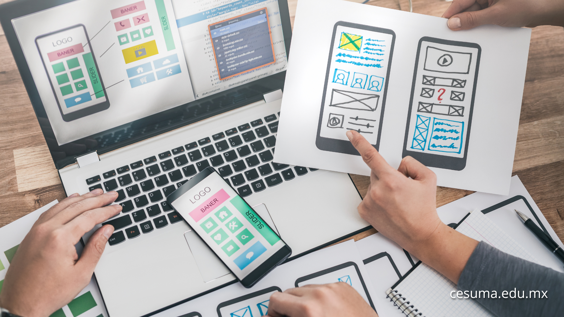 ¿Qué tipos de sistemas económicos existen?