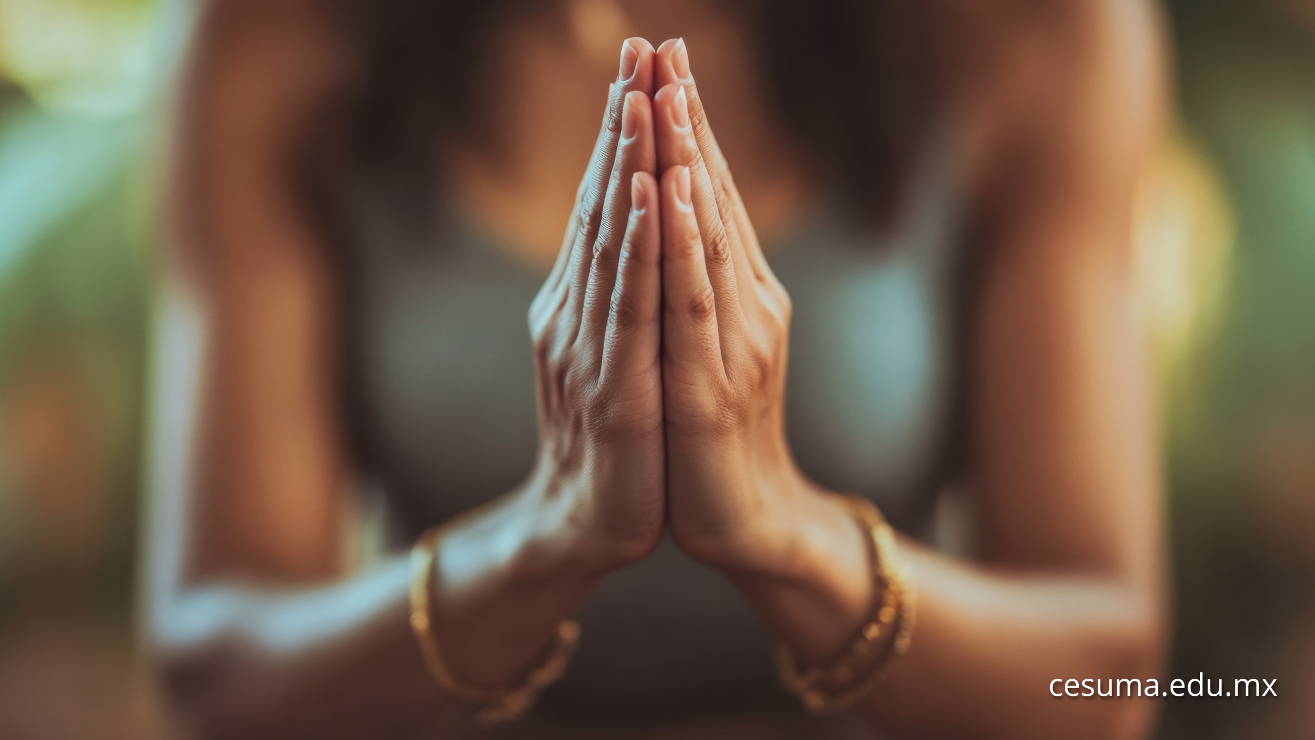 Reto emocional: 7 días de bienestar cerebral para maestros y niños