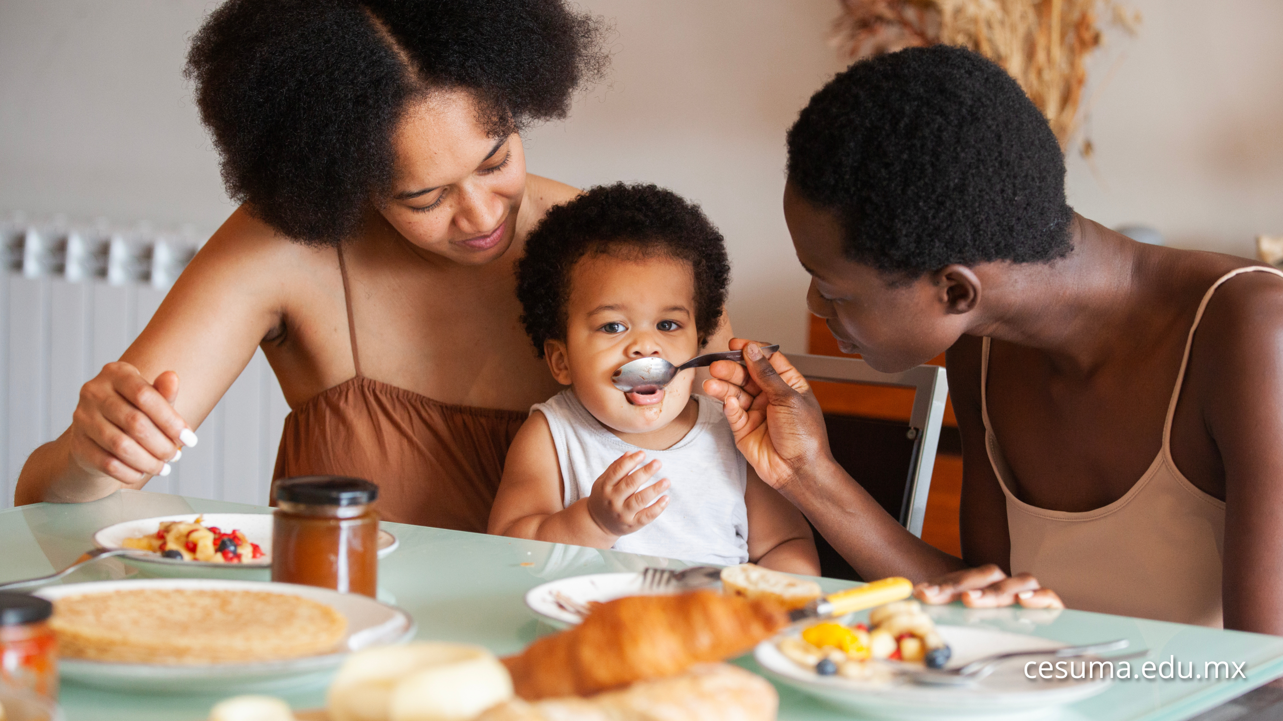 ¿Por qué el cerebro AMA la rutina?