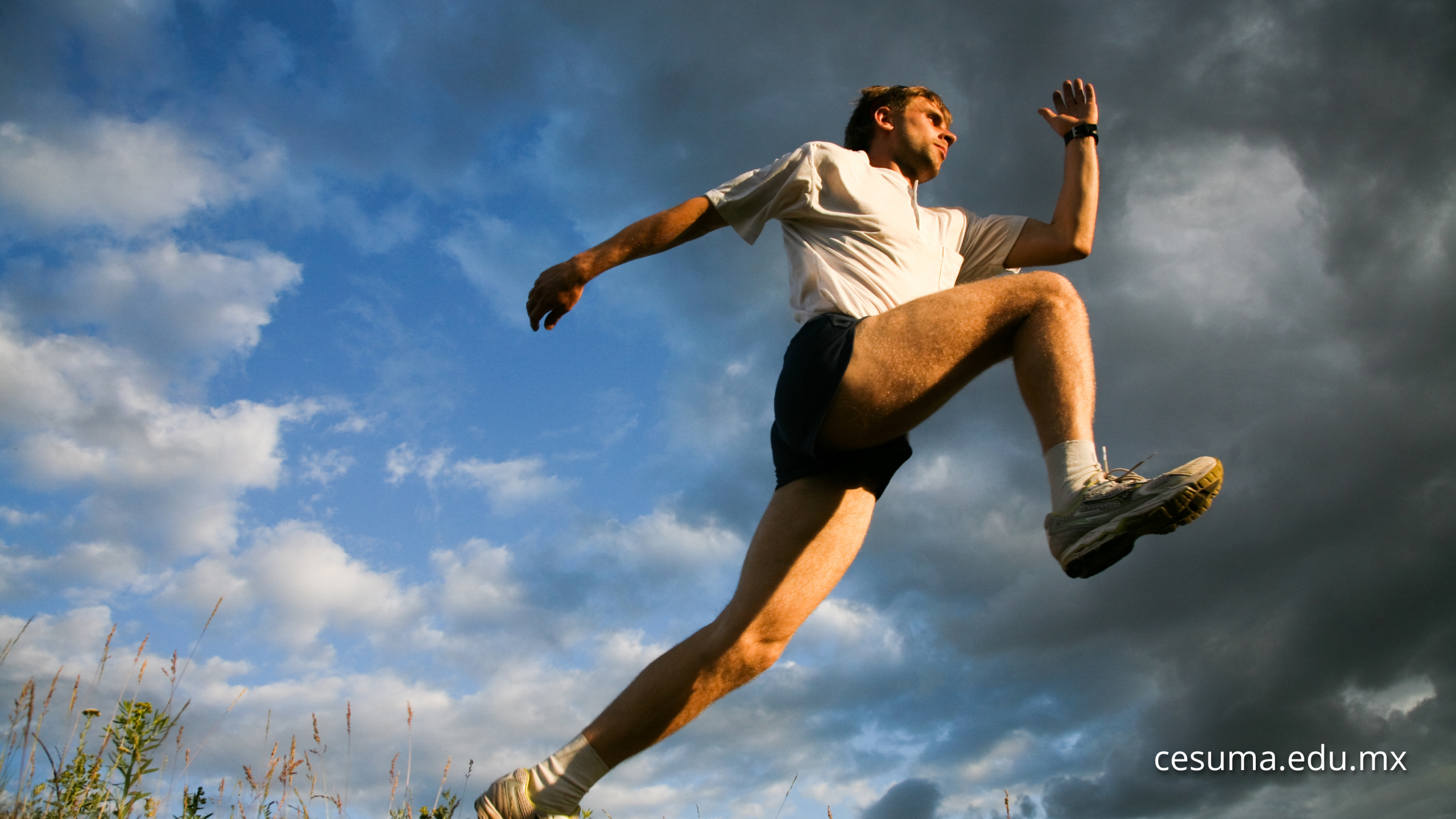 ¿El movimiento ayuda a pensar?